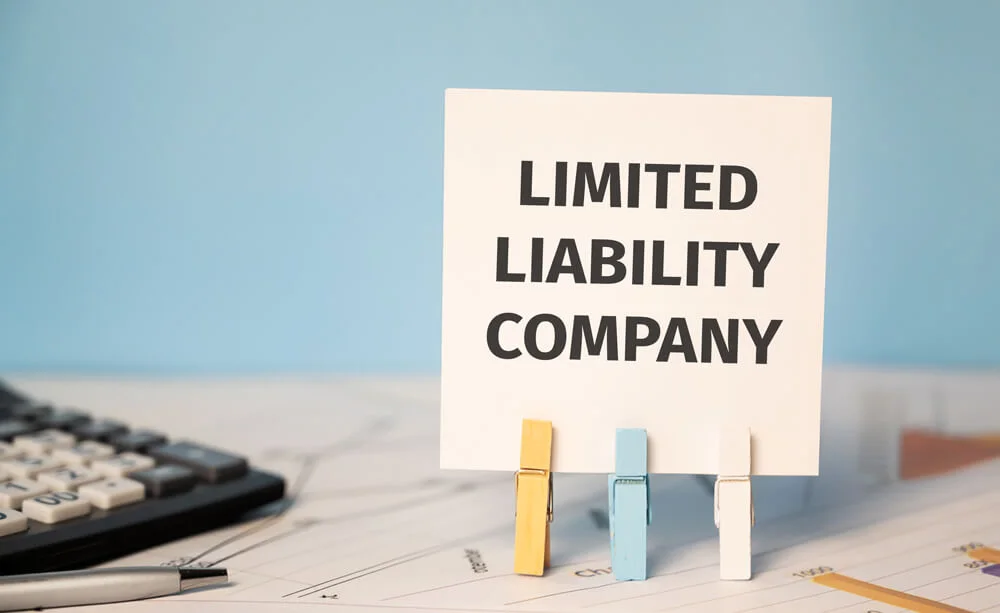 LIMITED LIABILITY COMPANY Finances and business concept